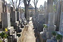 大林寺墓地