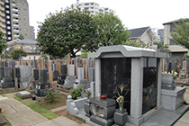 顕本寺墓地