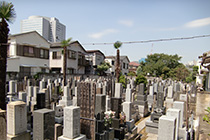 長源寺墓地