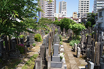 大円寺墓地